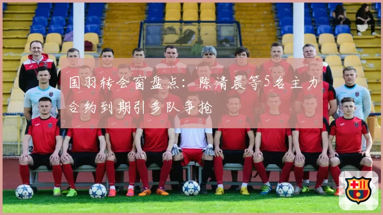 国羽转会窗盘点：陈清晨等5名主力合约到期引多队争抢