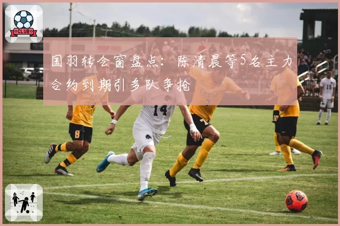 国羽转会窗盘点：陈清晨等5名主力合约到期引多队争抢